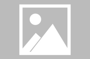 -关于中超球队席_山东赛后发声的信息
